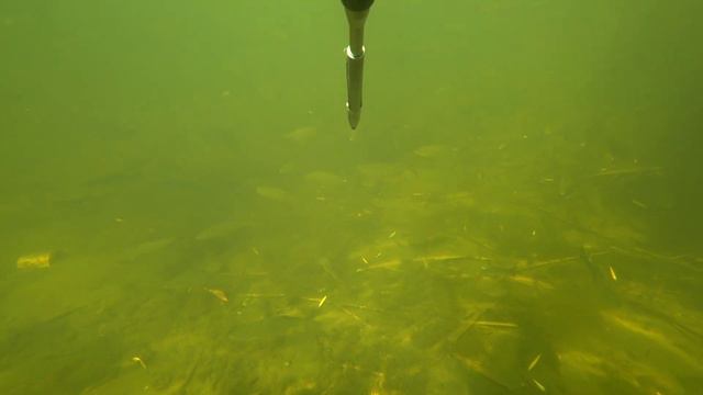 Подводная охота в октябре смотреть онлайн