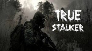 True Stalker | Бандиты на АТП