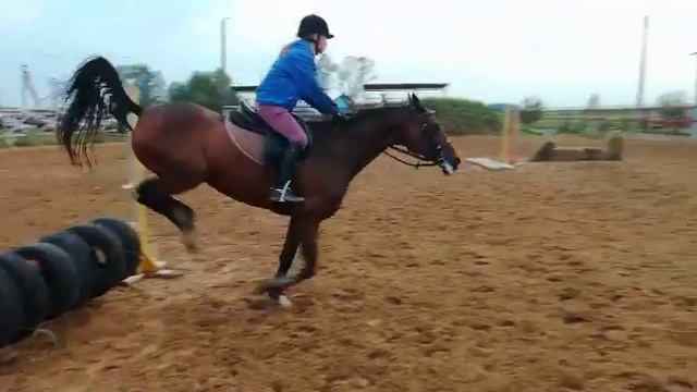 Маша и Аврора. Конный спорт для детей. смотреть онлайн