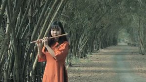 Пронзительная музыка Вьетнама Дан бау