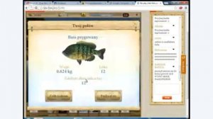 LIVE lets-fish.pl