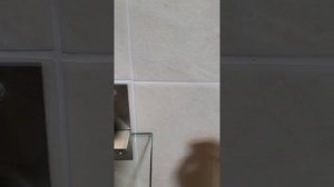 OneBlade (QP2730/20)