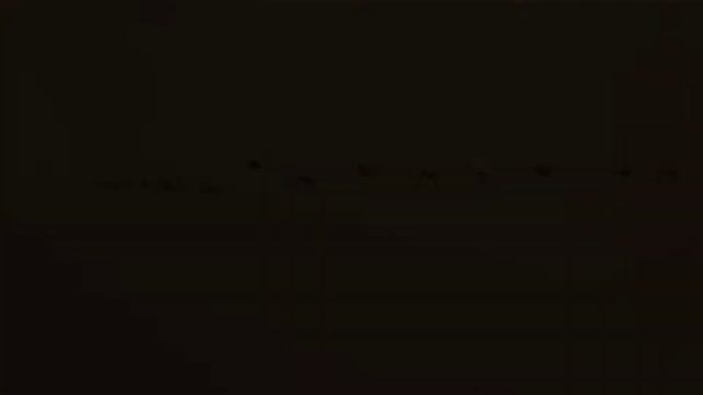 Шак Олег - Гуси лебеди. смотреть онлайн