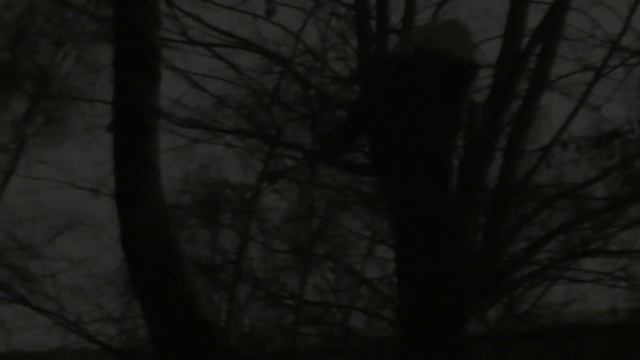 Куница в Москве смотреть онлайн