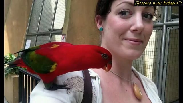 Она год носила эту подвеску, не догадываясь, что в ней, что-то скрывалось! смотреть онлайн