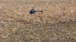 Lovely RC model helicopters Novosibirsk part15