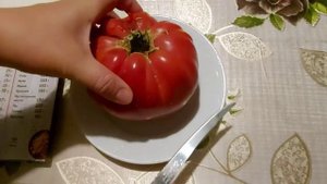 ОБЗОР ТОМАТА  ДОМИНГО МАРЛИ.