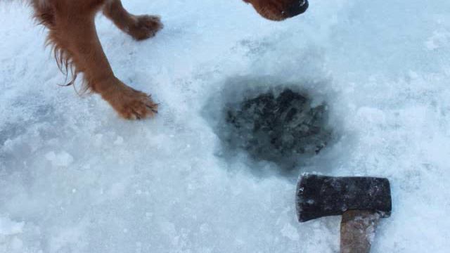 [violin foundation]  Tomaso Albinoni Adagio in G Minor Violin and Piano смотреть онлайн