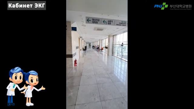 Дорога в кабинет ЭКГ