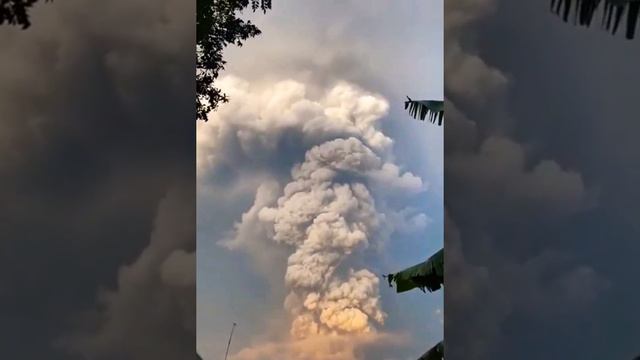 Людей эвакуируют проснулся Taal Volcano ? 2021 Вулкан Тааль Филиппины