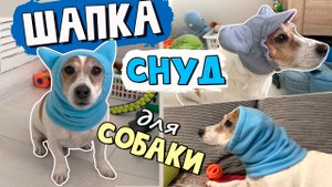 Шапка для собаки своими руками. КЛАССИЧЕСКИЙ СНУД и СНУД с УШКАМИ. Выкройка шапки для собаки