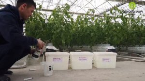 Начало эксперимента Radika Base от Datis ч.1