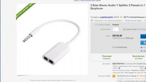 В ноутбуке ОДНО гнездо для микрофона и наушников (гарнитурный разъем)