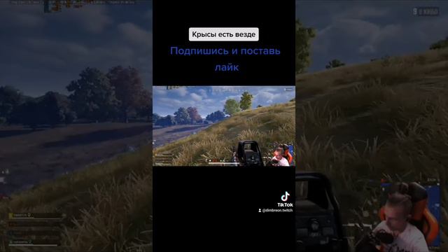 The best PUBG. Крысы есть везде смотреть онлайн
