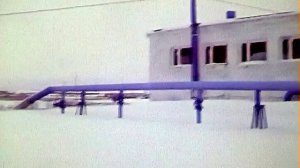 1989 год. Тюменский район. Каскаринская птицефабрика. Очистка отходов производства.