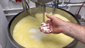 Варим Пармезан на сыроварне Casaro.