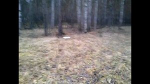 Стрельба пулей "комби". ИЖ-94.