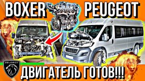 СБОРКА ДВИГАТЕЛЯ PEUGEOT BOXER///ЕСТЬ НЮАНСЫ