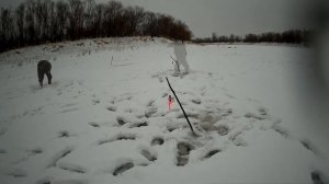 Зимняя рыбалка. Печень для язя