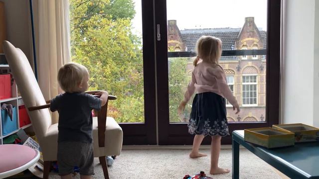 Настоящий сливопад: сливы падают летят смотреть онлайн