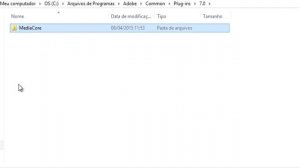 After Effects warning:The following plugins have failed to load