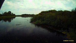 Рыбалка на реке Березина. Kendo Haryu 125f рвёт "японцев") Рыба на Sugapen 70f, Prop darter 110.