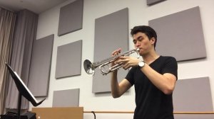 "The Promise of the World" from 'Howl's Moving Castle' - Trumpet Cover