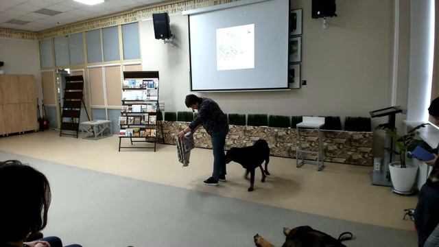 Профессия – кинолог: «Собака бывает кусачей только от жизни собачьей» | Энергия знаний | Лекция 4