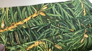 Шьем новогодний мешок для подарков своими руками!