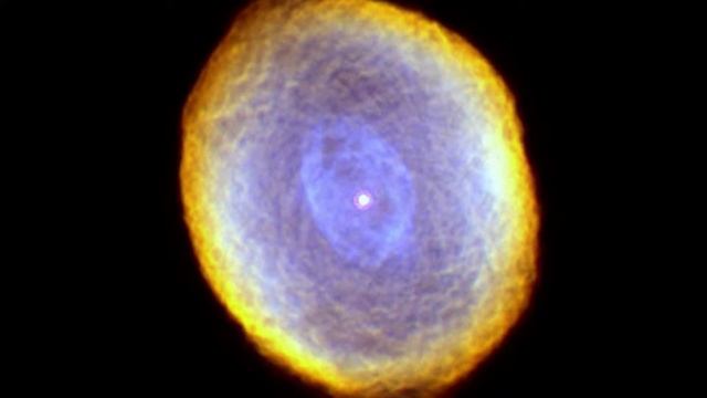 79. Птица Феникс