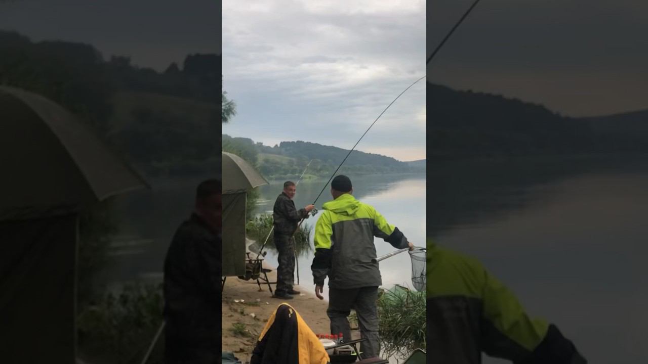 ФИДЕР в ДУГУ / ДОСТАЛИ КРУПНОГО ЛЕЩА смотреть онлайн