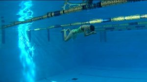 Техника плавания спина, дельфин, брасс