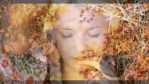 Вячеслав Добрынин Акулина