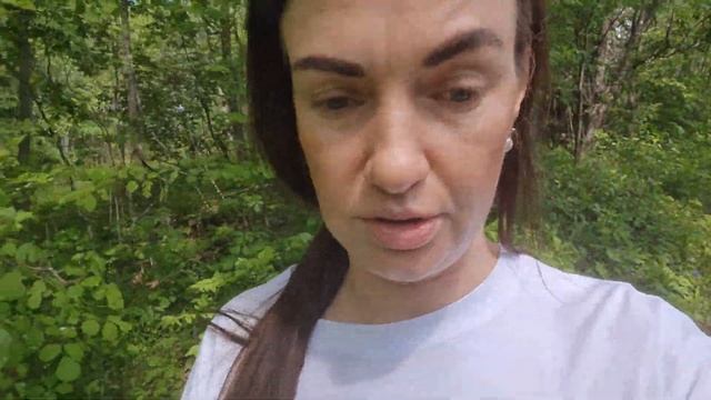 Собака съела куклу/Украли деньги/Наш выходной смотреть онлайн