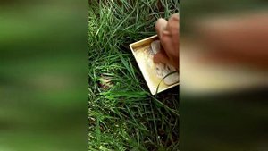 спускает колесо по ободу