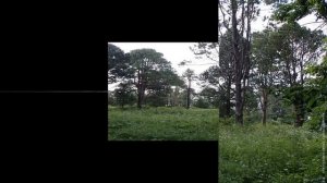 Памятники природы.  Вологодский край