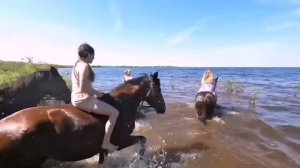 🔥🔥🔥Июль 2022 клип Кубенское озеро. 50 км верхом👍