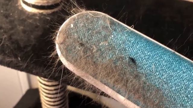 перчатка щетка для животных