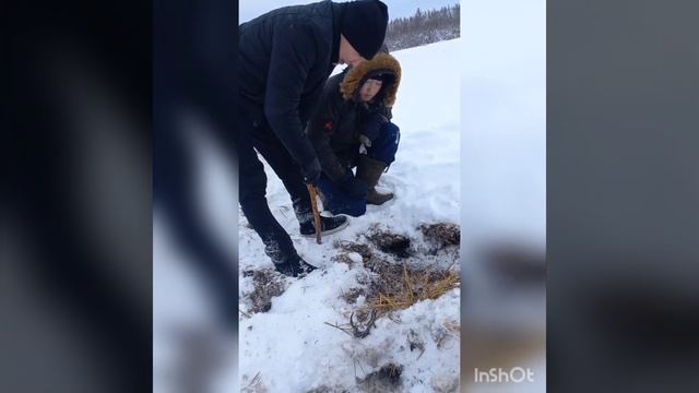 Андаатардыы/Охота на ондатра смотреть онлайн