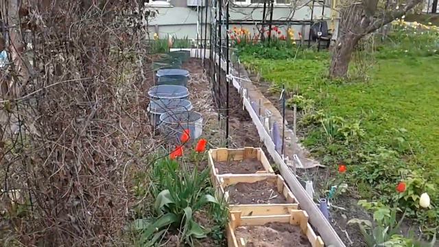 Маленький Огородик Елены Тереховой - Экскурсия по огороду 04.05.2023