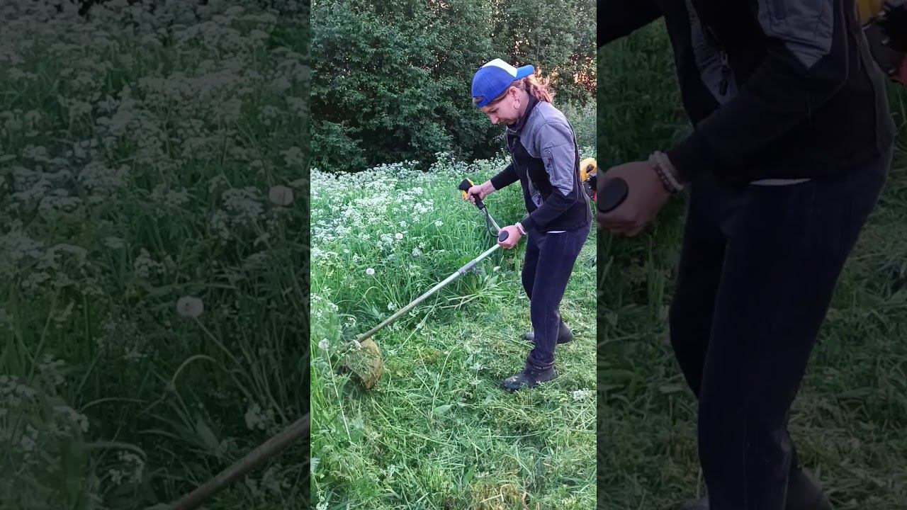 Красотка на сенокосе смотреть онлайн