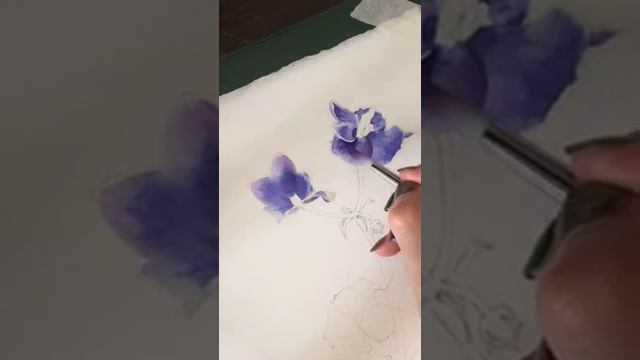 Watercolor African Violet. Part3./ Как нарисовать фиалку акварелью. Часть3 смотреть онлайн