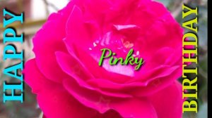 Happy Birthday Pinky 🎂 🎉 🎊 🎁 🎈