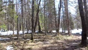 Путешествие на гору Большой Шелом. Высота 1427 над уровнем моря.