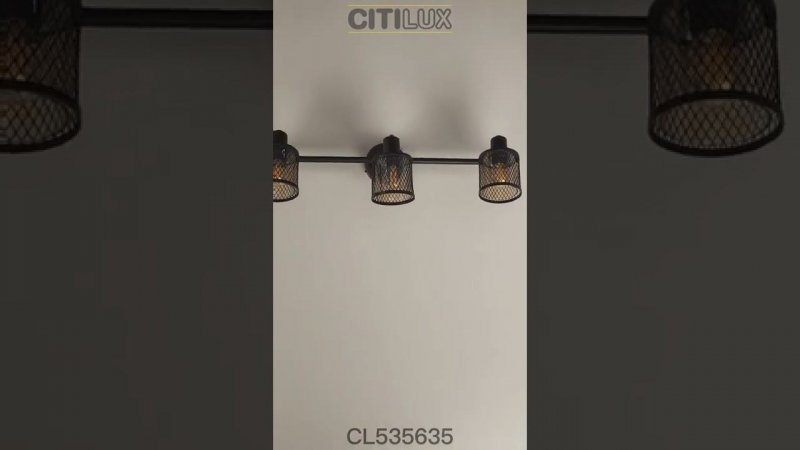 Citilux Робин CL535635 Спот поворотный с выключателем