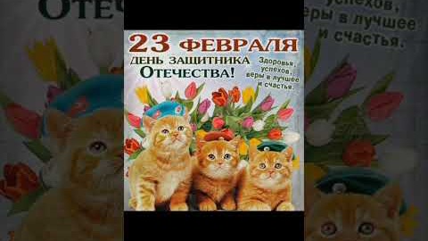 Поздравляю с 23 Февраля ⭐?? #поздравления #котята #shorts #праздник #деньзащитникаотечества