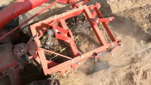 Картофелекопалка к мотоблоку Беларус-09н
