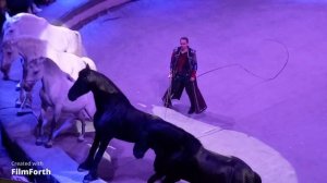 Ростовский цирк шапито 09.01.2022.Новогодняя сказка в цирке.