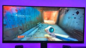 LG 29WQ600-W 29" Ultrawide Monitor | User Review | Destiny 2 Gameplay