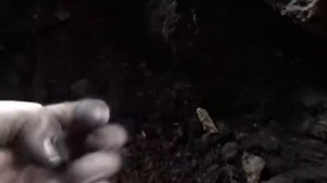 ❄Что можно найти в помойке - много денег! В поиске золота.